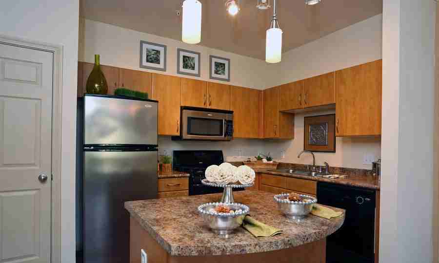 Metric/Running Bird #1280 - Photo 3 of 45