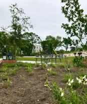 11023 Four Points Dr #272 - Photo 1 of 1