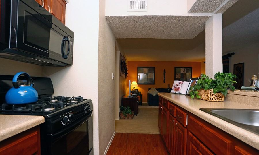 3622 Faro Dr #1440 - Photo 5 of 50