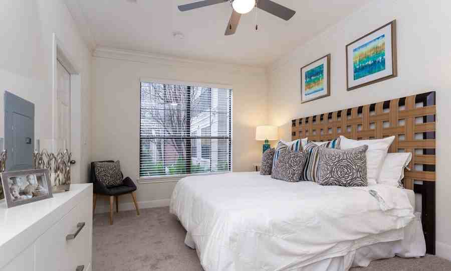 Bandera Ave #4034 - Photo 4 of 50