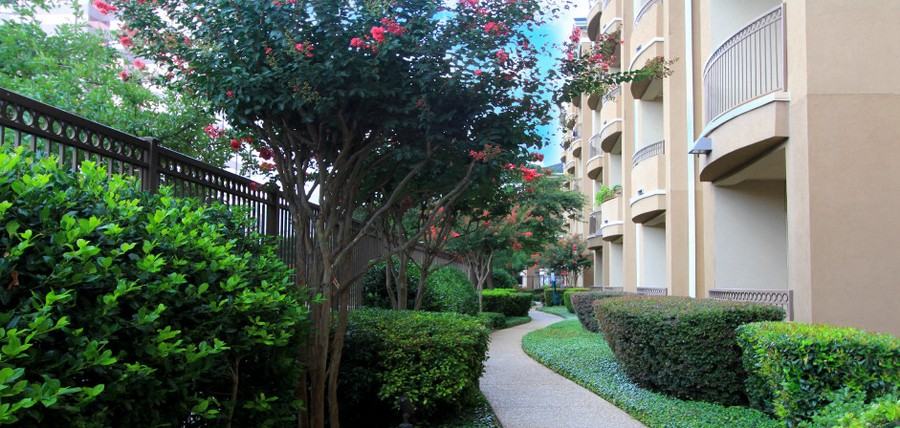 5328 Alpha Rd #3422 - Photo 6 of 25