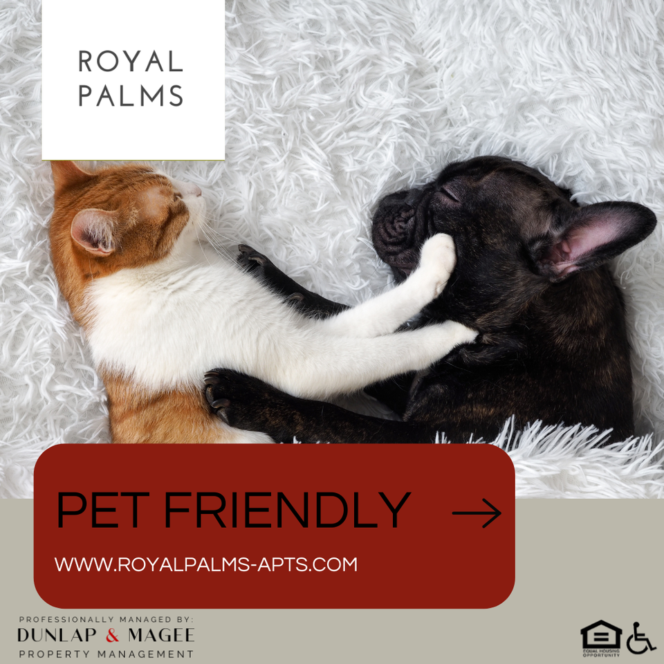 Royal Palms Apartments - Photo 5 of 6