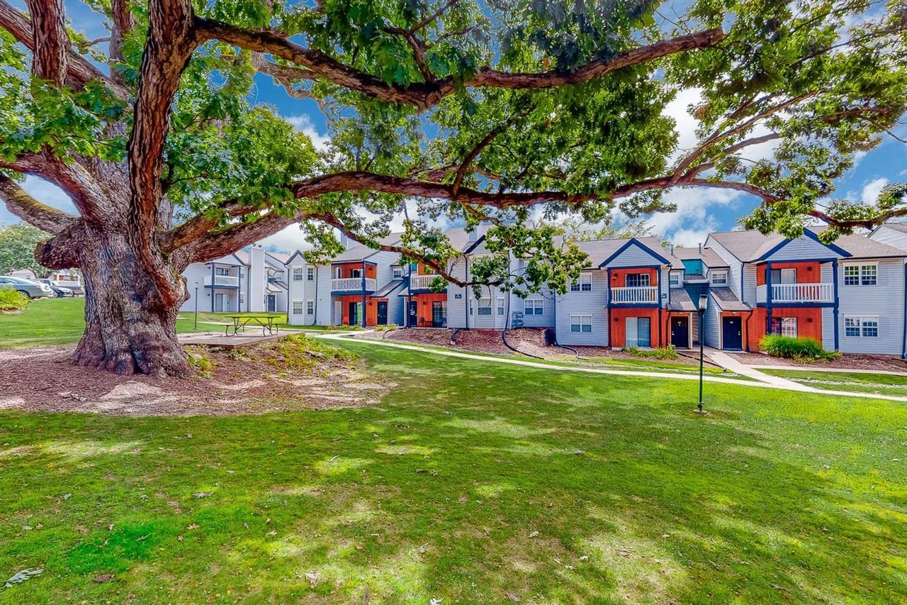 Moon Grove Apartments - Photo 5 of 50