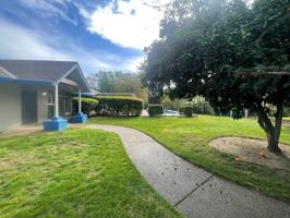 featured image of 3742 Orchard Ln