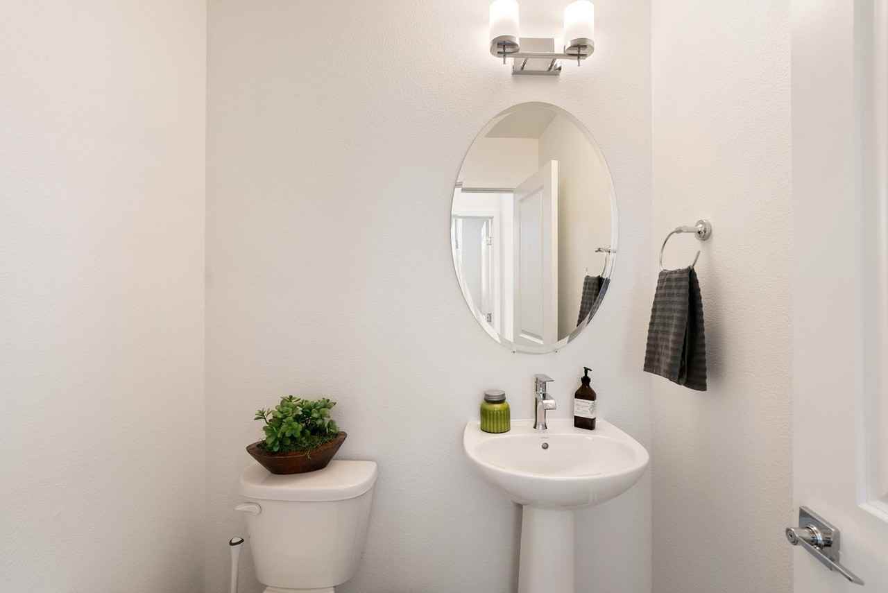 Vinifera - Photo 7 of 26