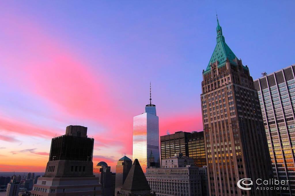 New York Plaza 2015, New York, NY 10004 Studio Apartment for Rent