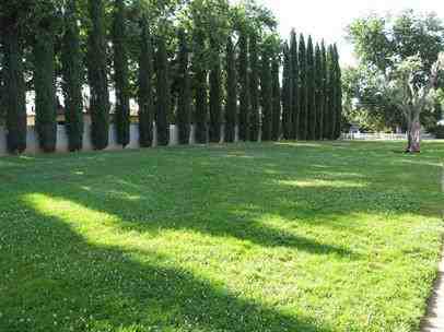 1462 Manzanita Avenue - Photo 2 of 8