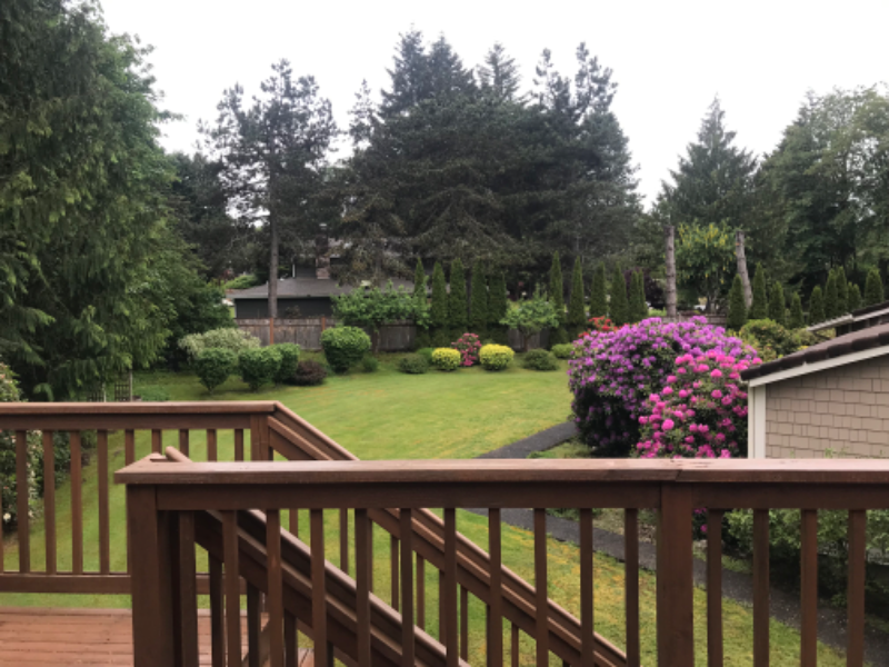 19035 Se 281st Pl - Photo 2 of 11