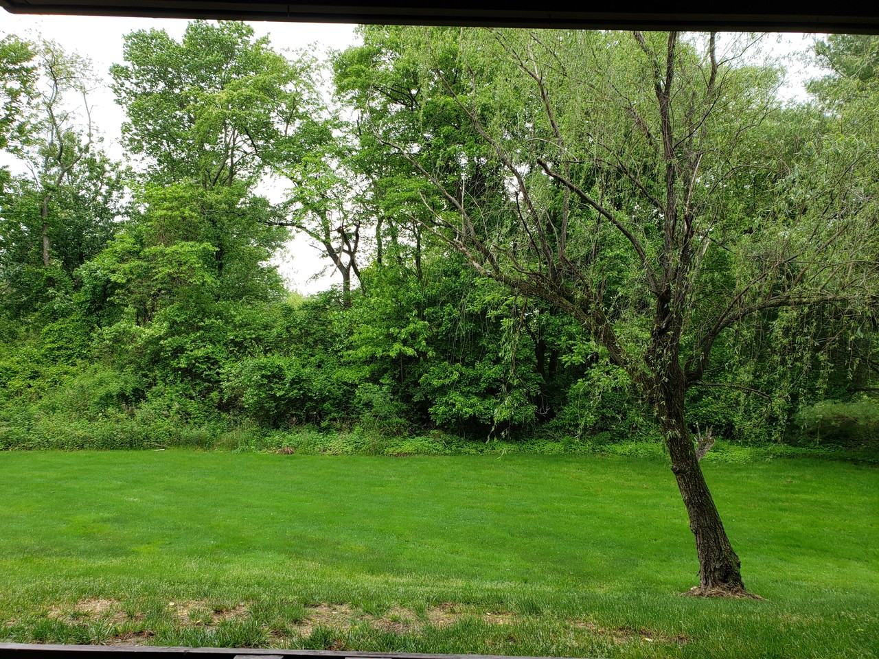 1613 Country Mill Dr #161 - Photo 6 of 7