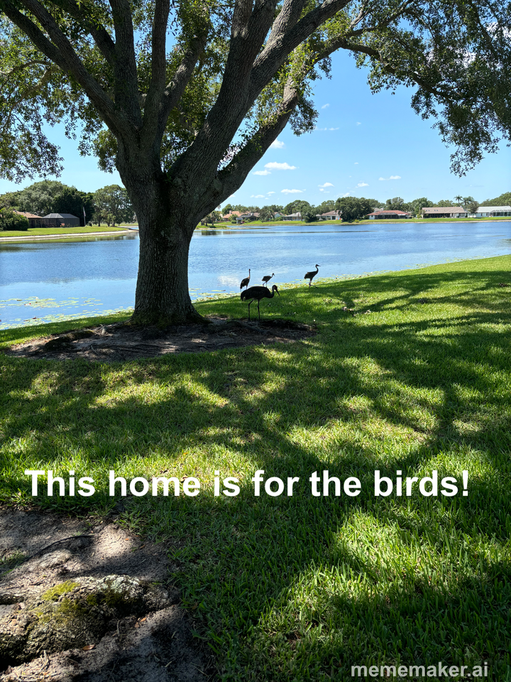 401 Crystal Lake Dr #NA - Photo 2 of 36