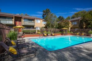 featured image of 509 Poplar Ave