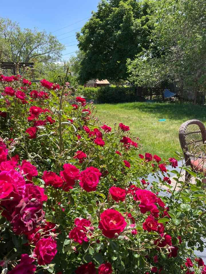 360 W Plumb Ln - Photo 3 of 6