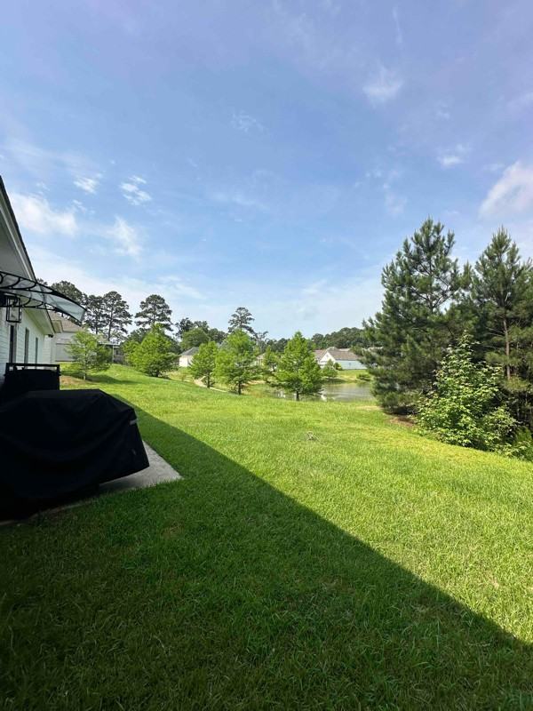 119 Gumwood Dr - Photo 3 of 31