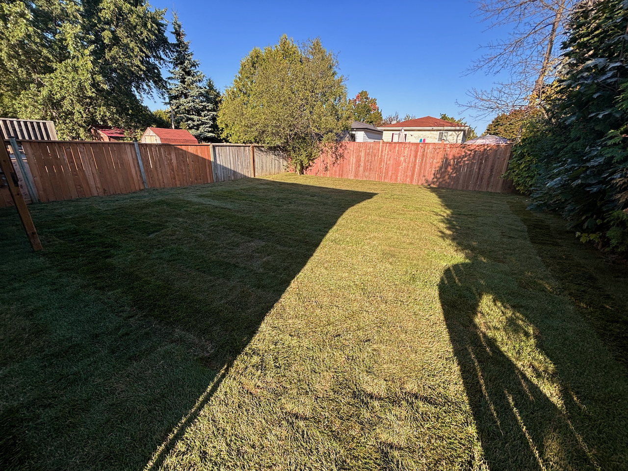 55 Courtice Cres Uppr #1 - Photo 2 of 10