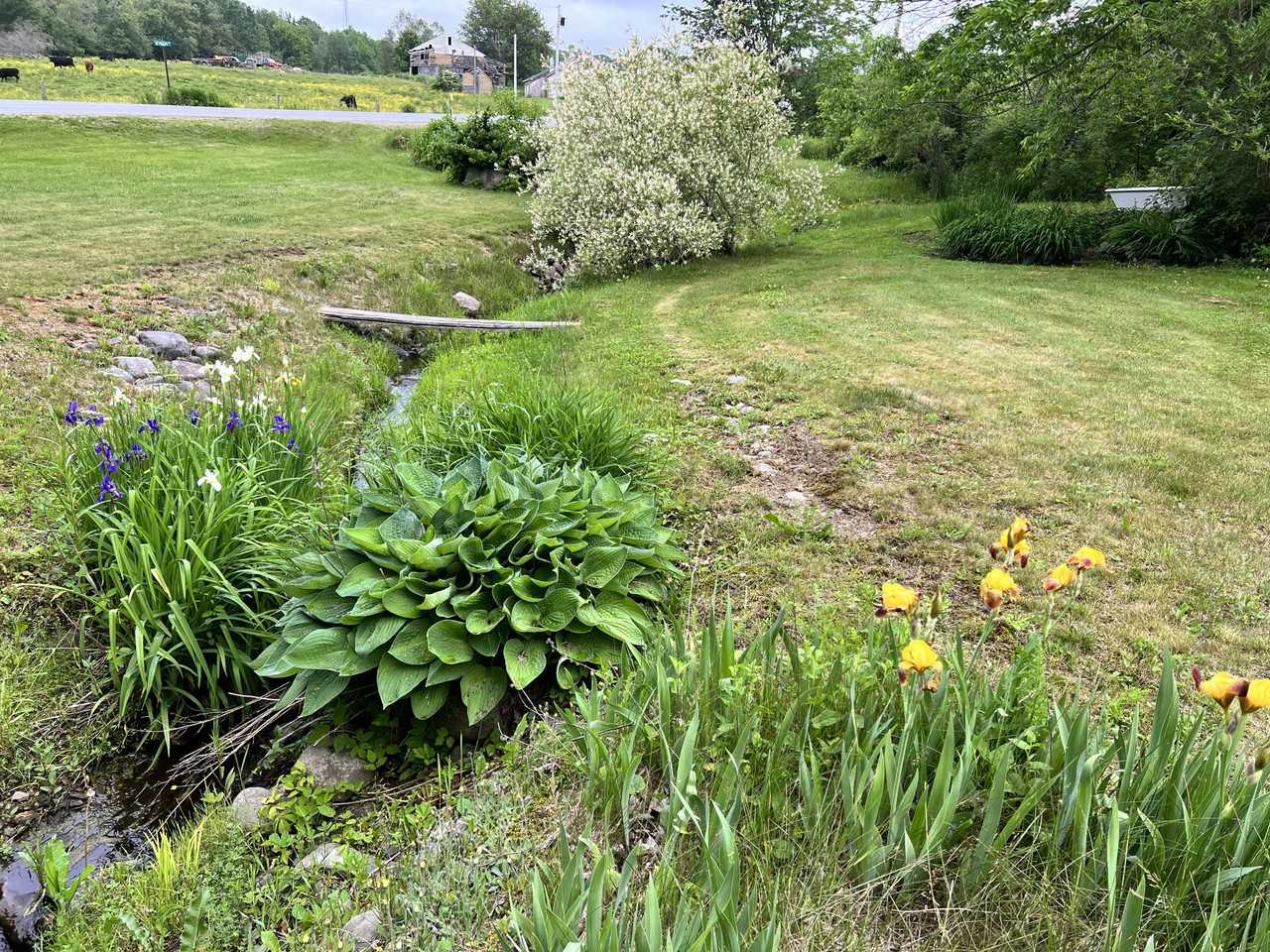 91 Lang Hill Hwy #NA - Photo 3 of 11