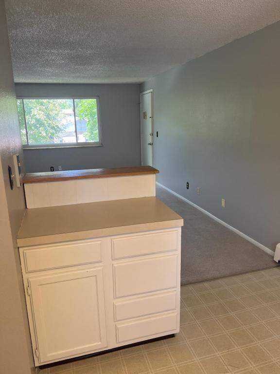 1404 Caddoa Dr - Photo 4 of 18