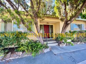 01914CL - Photo 1 of 1