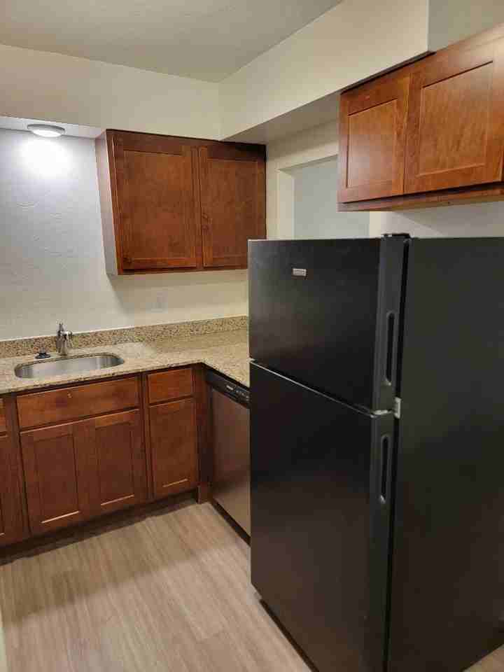 Oasis Paseo - Photo 5 of 23