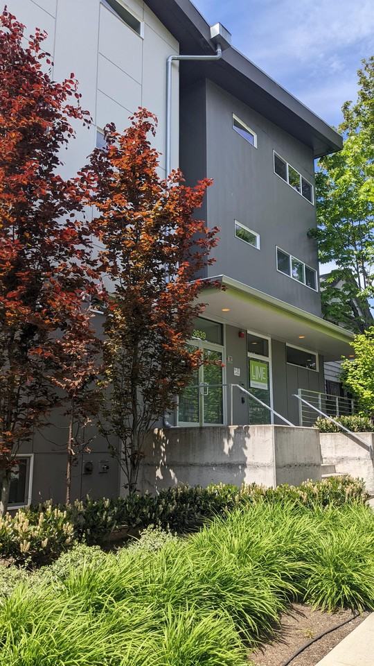 Lime Studios - Photo 7 of 9