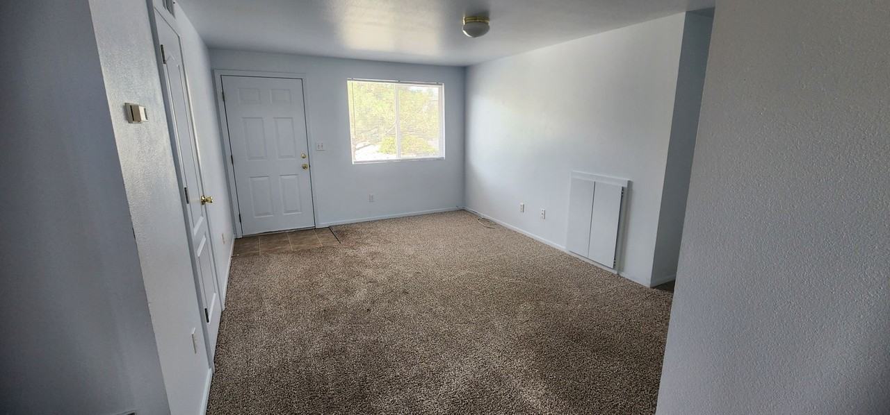 Newlands W 1254 - Photo 3 of 7