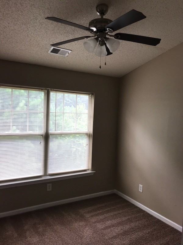 306 Lauren Drive - Photo 6 of 12