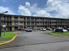 featured image of Hilo Road