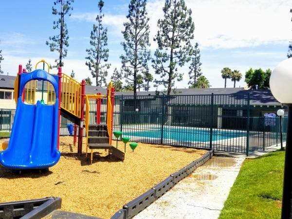 Coral Tree Apartments - Photo 6 of 9