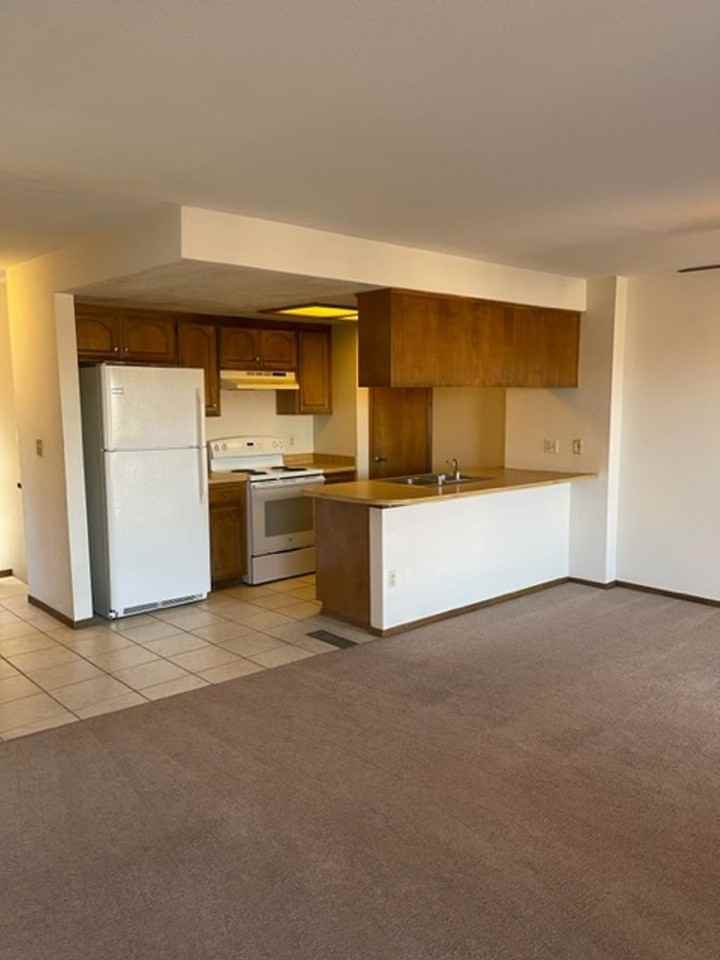 825 Mission Sierra Ct - Photo 3 of 13