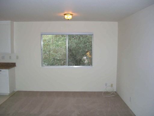 243 McAllister Ave - Photo 3 of 8