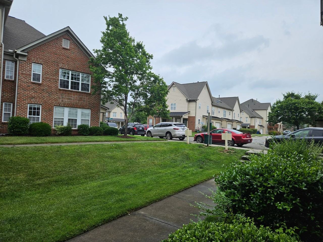 9904 Layla Ave - Photo 3 of 20