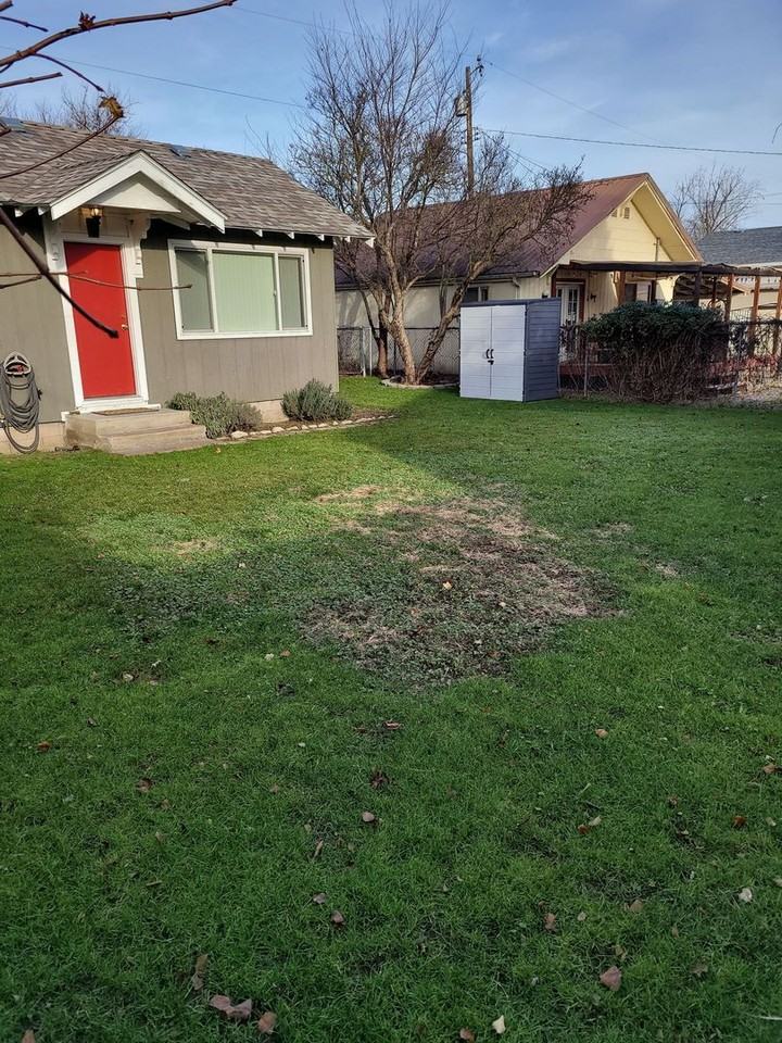 1110 Morgan Ave - Photo 2 of 25