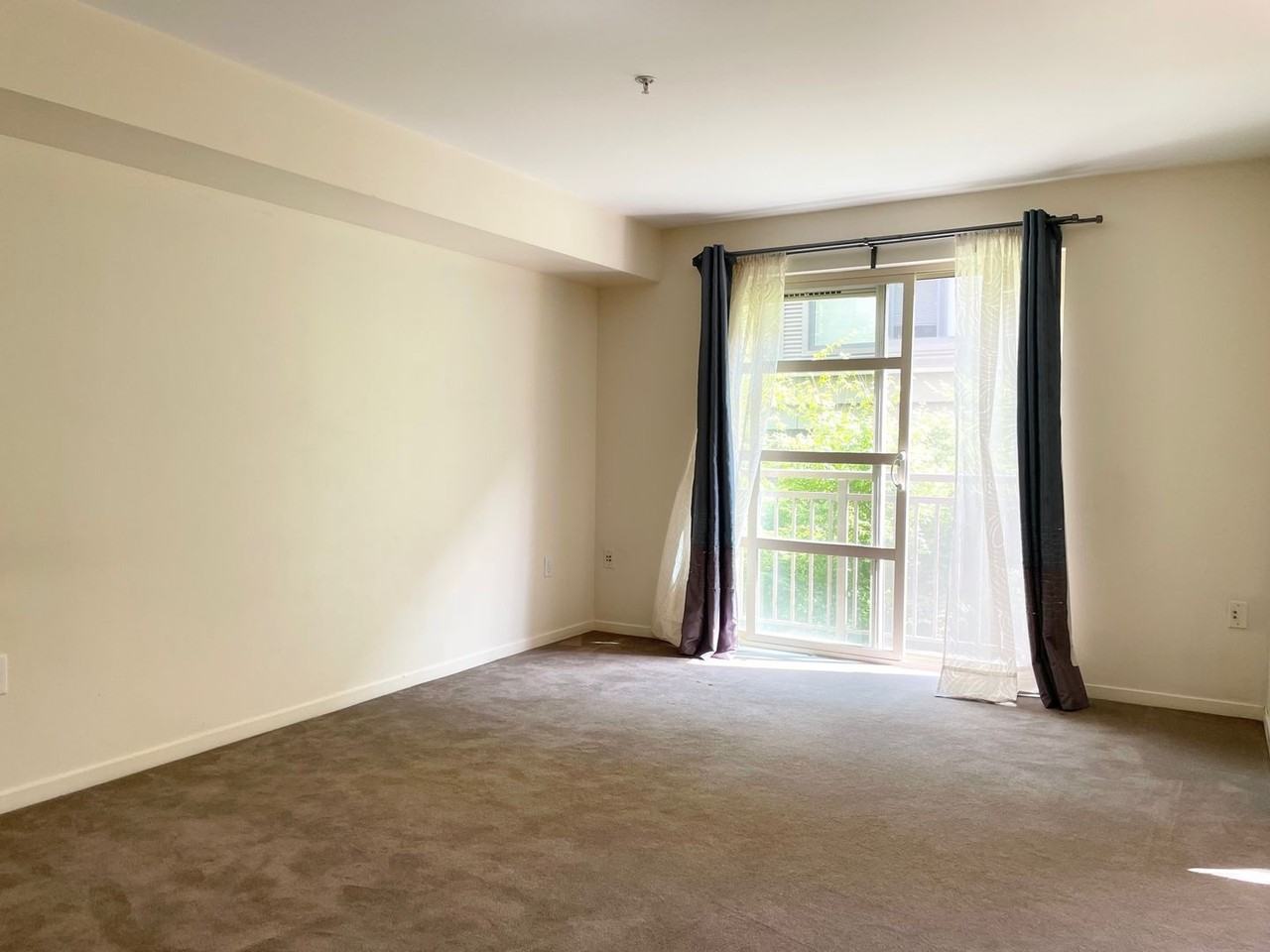 111 108th Ave Ne #A215 - Photo 3 of 10