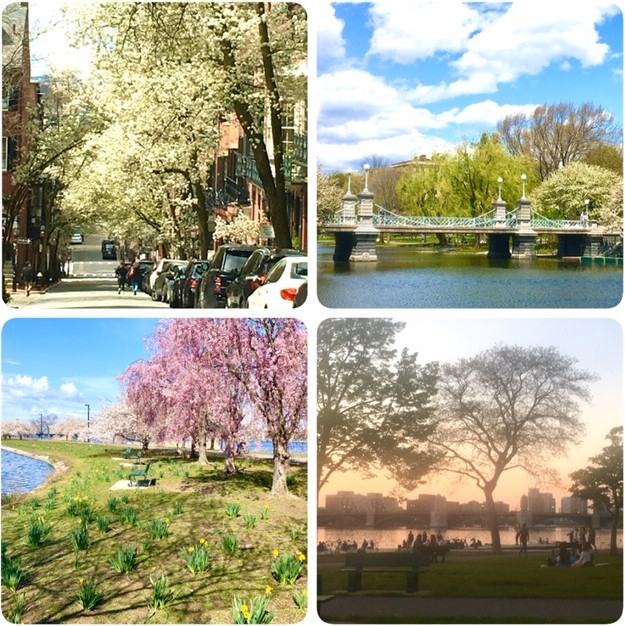 40 Revere St #2 - Photo 7 of 19