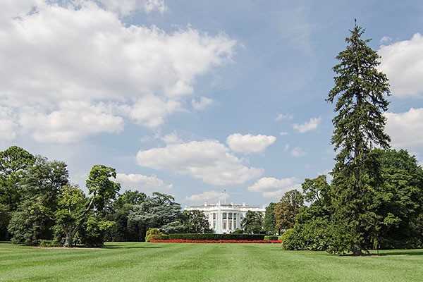 Potomac Park - Photo 3 of 17