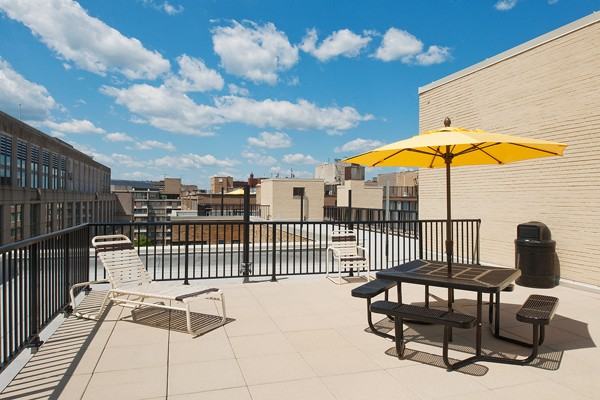 The York - Photo 2 of 8