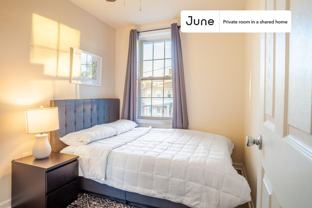 4706 9th St Nw #C - Photo 1 of 1