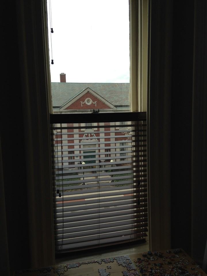 622 Ferry St #3 - Photo 3 of 5