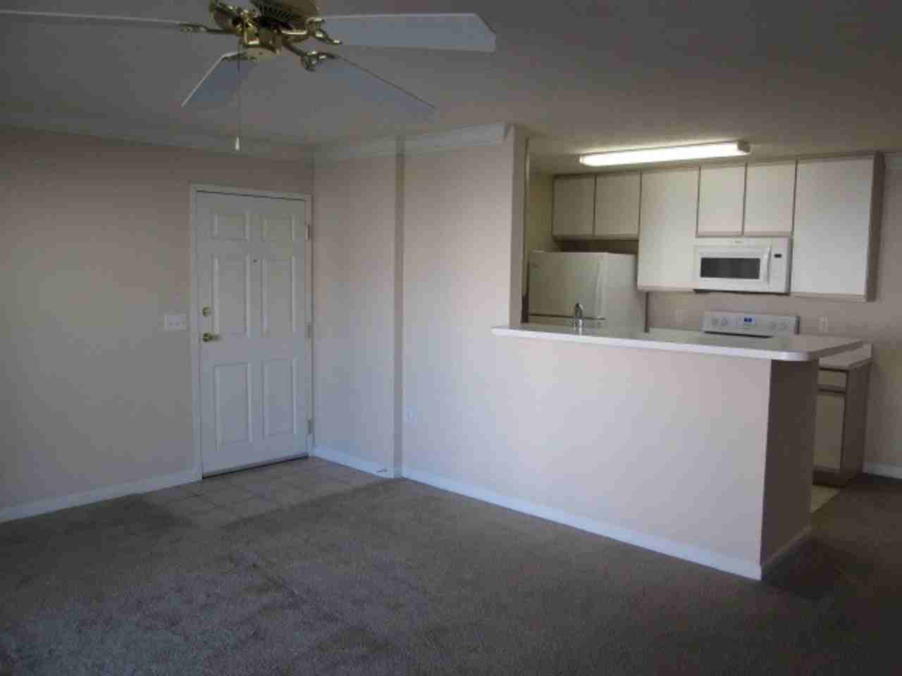 Hillsborough Pointe Apartments - Photo 7 of 50