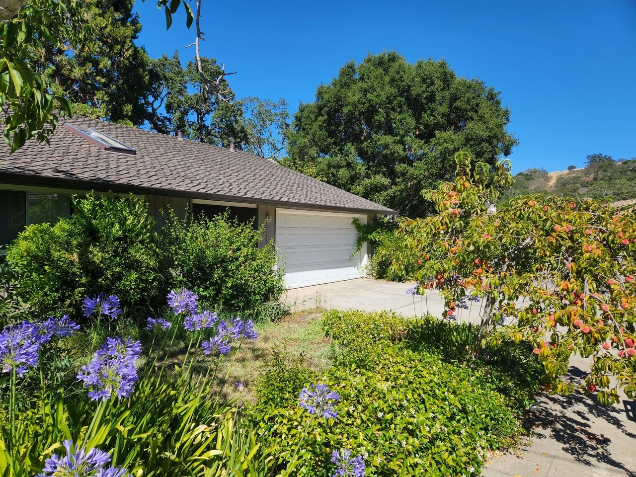 25 Sneckner Ct #NA - Photo 3 of 21