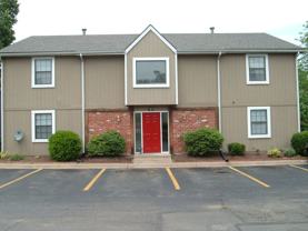 The Woods - Photo 1 of 1