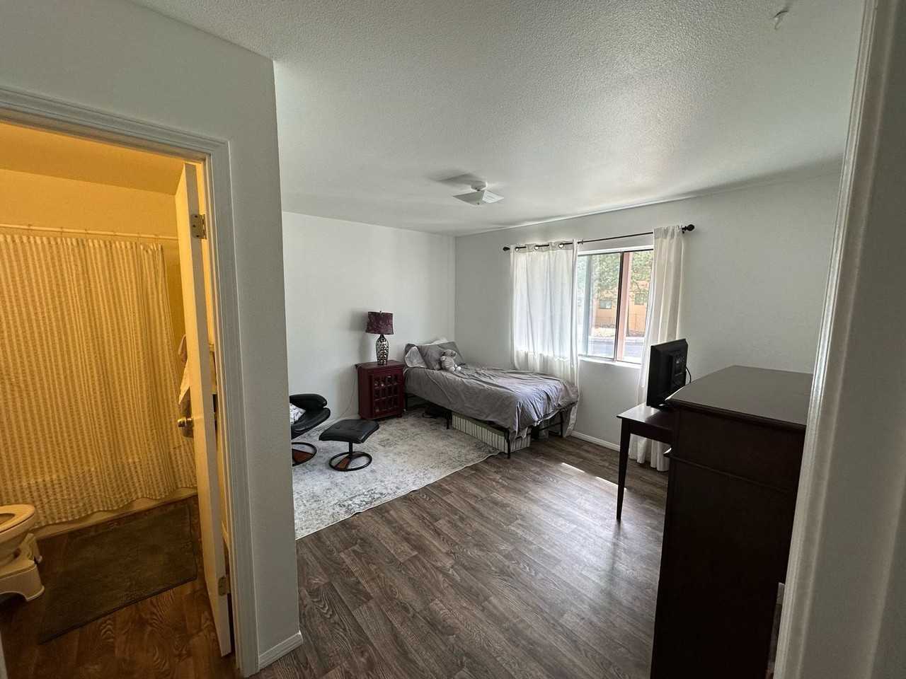 205 S Paseo Del Flag - Photo 7 of 11