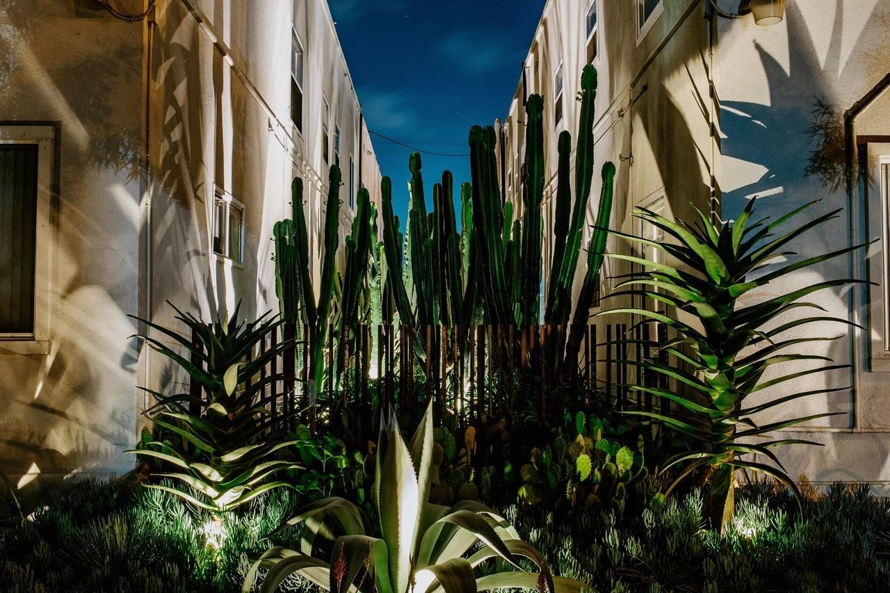 2605 Logan Ave - Photo 4 of 17