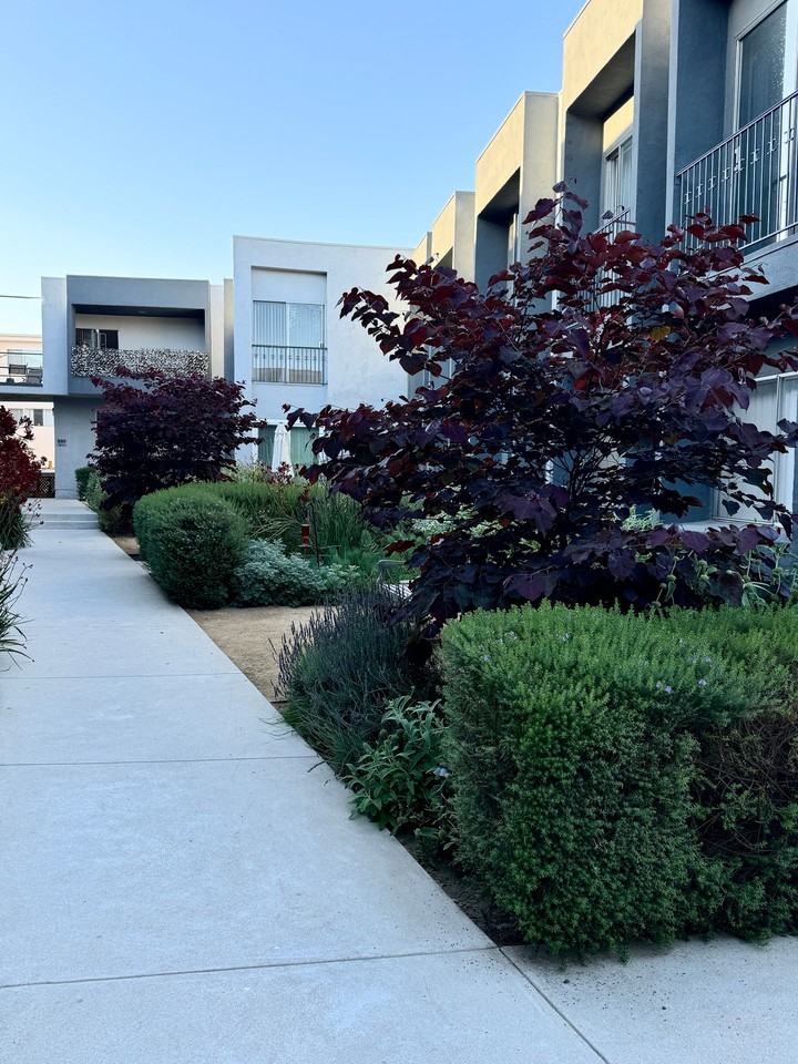 4617 Willis - Photo 3 of 4