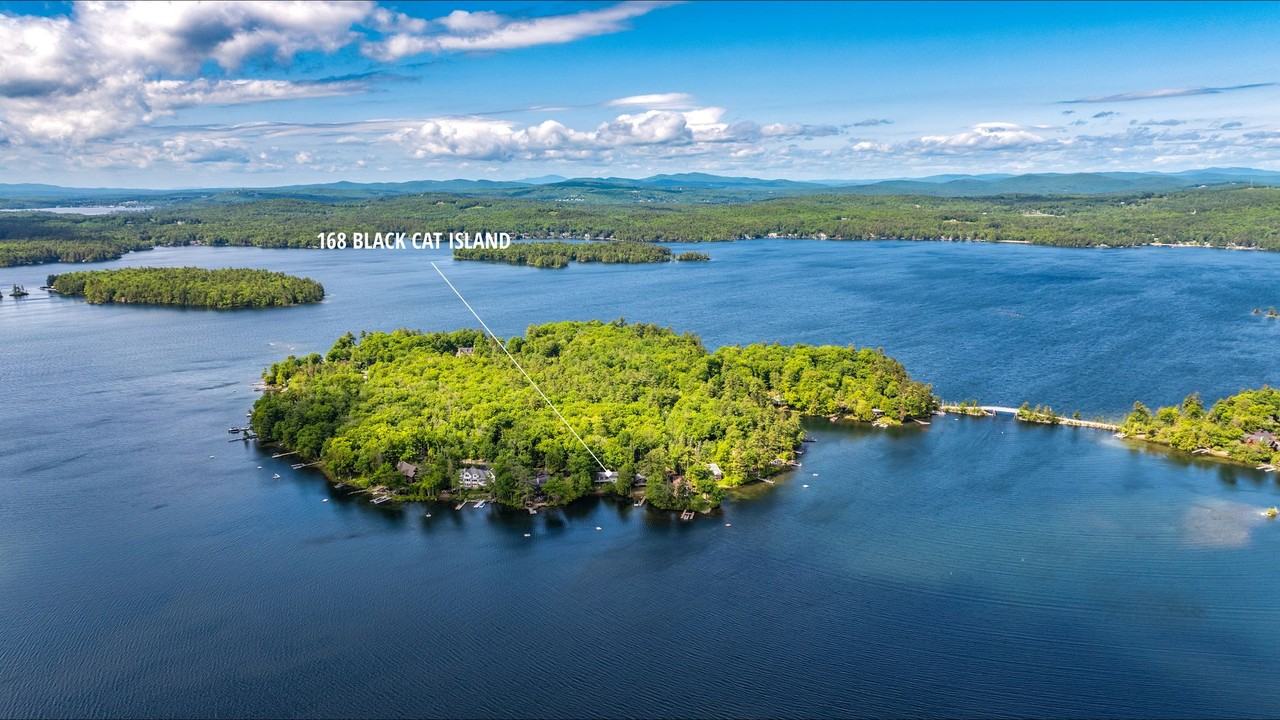 168 Black Cat Island Rd - Photo 2 of 17