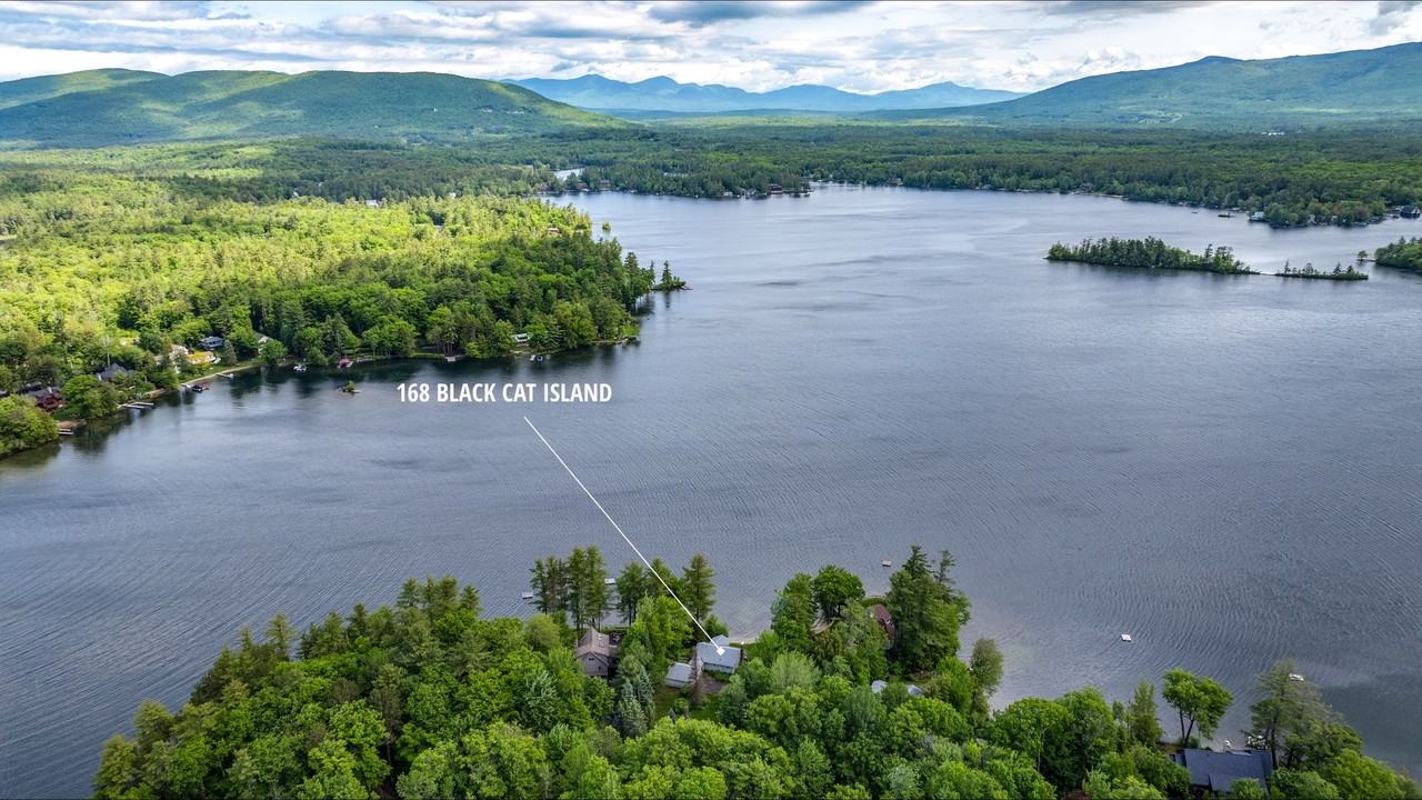 168 Black Cat Island Rd - Photo 3 of 17