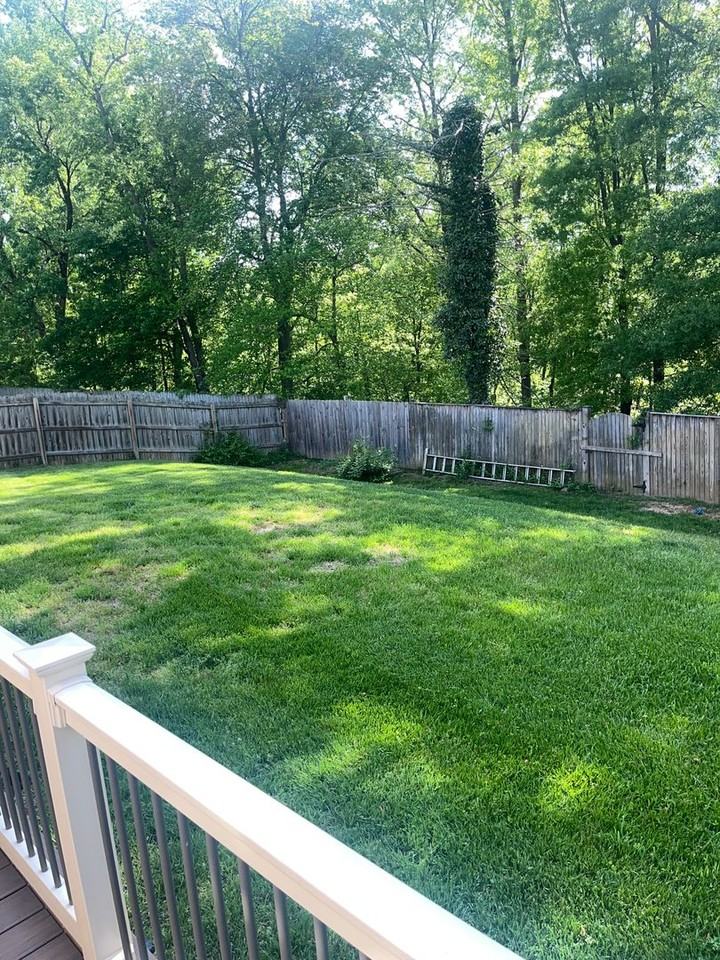 313 Garnett Rd - Photo 6 of 28