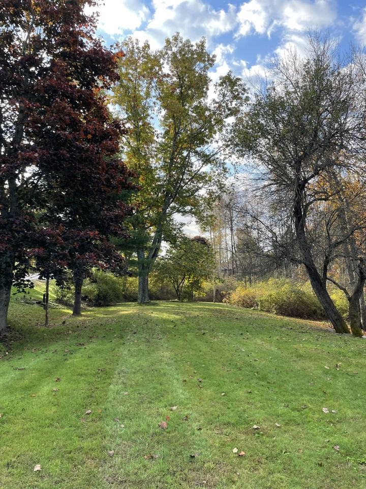 1096 Middle Rd #A - Photo 3 of 15