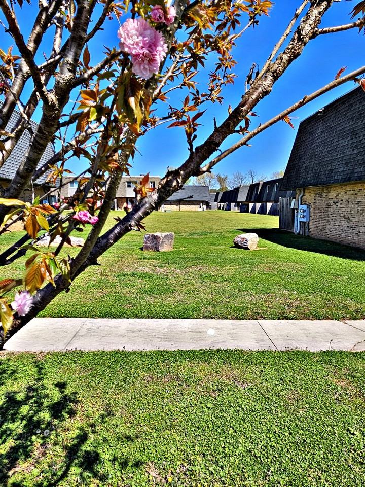 Avalon Cove - Photo 2 of 18