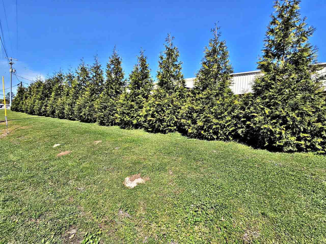 Avalon Cove - Photo 3 of 18