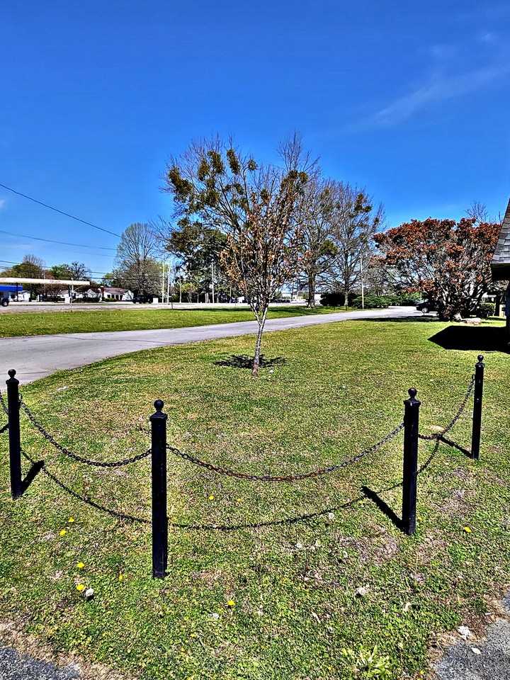 Avalon Cove - Photo 4 of 18